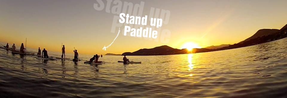 Paddle